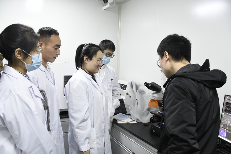 正置荧光显微镜专项培训助力实验分析仪器销售与技术服务升级