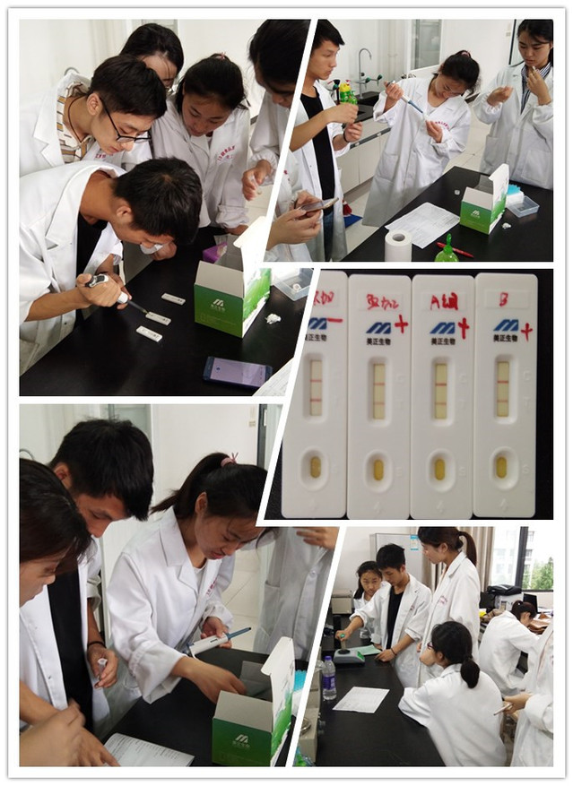 校企协同育新才 食品学院联合仪器企业开展课程实训，赋能实验分析仪器销售新篇章